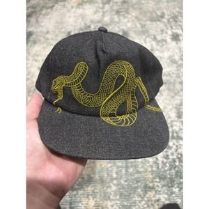 Coney Island Picnic Flat Bill Snap Back Hat